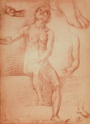 アンドレア・デル・サルトが描いた裸体図と人間の手足の研究。内閣描画と版画、ウフィツィ美術館、フィレンツェ